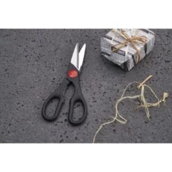Zwilling Vielzweckschere 20 Cm, Edelstahl 9 Zwilling Vielzweckschere 20 Cm, Edelstahl -Zwilling shop 424416496