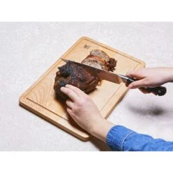 Zwilling Fleischmesser 20 Cm, Glattschliff 9 Zwilling Fleischmesser 20 Cm, Glattschliff -Zwilling shop 424423866