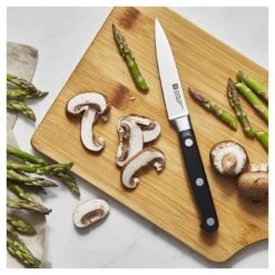 Zwilling Spick & Garniermesser 10 Cm -Zwilling shop 750033555