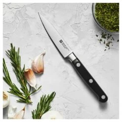 Zwilling Spick & Garniermesser 10 Cm -Zwilling shop 750033565